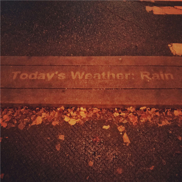 西雅图街头，原来藏着这么多雨天专属的惊喜