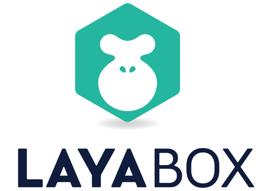 颠覆App！LayaBox用Flash开发重度HTML5游戏