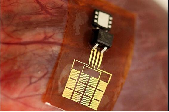 这种电子皮肤能让身体变电脑