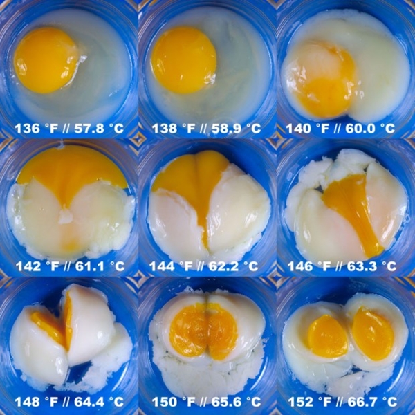 终极溏心蛋挑战：分子料理煮出完美鸡蛋