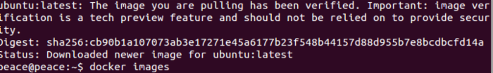ubuntu15.04下安装docker