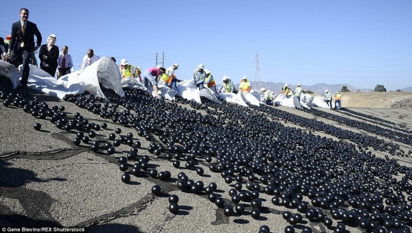 美洛杉矶水库投放千万黑色小球保护水资源