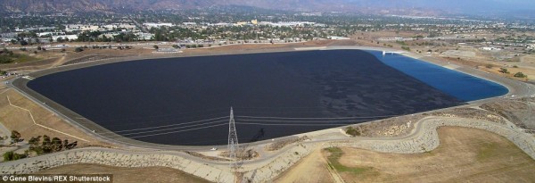 美洛杉矶水库投放千万黑色小球保护水资源