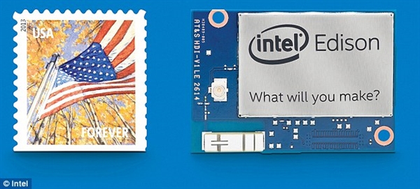 比人类还快 蜜蜂用上Intel爱迪生芯片
