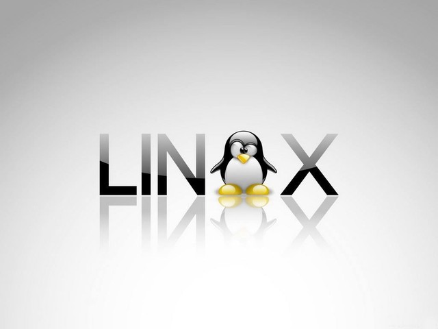 扒一扒 开源发家史；Linux在为谁代言？