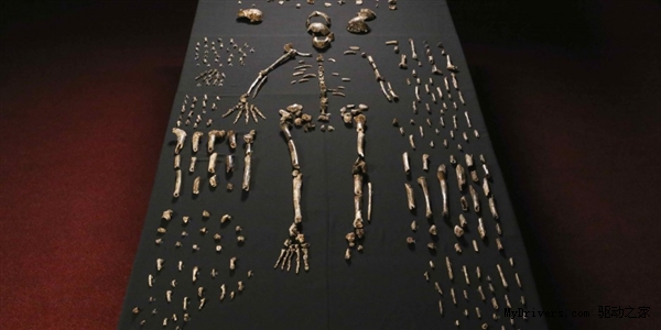 改写人类进化史！南非发现全新人种