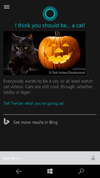 Cortana和Bing新增万圣节功能，还有鬼屋搜索