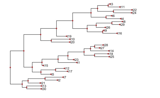 使用ggtree实现进化树的可视化和注释