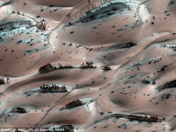 NASA公布震撼火星“森林”照 实为沙丘“作怪”