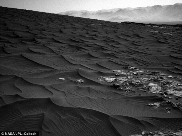NASA公布震撼火星“森林”照 实为沙丘“作怪”