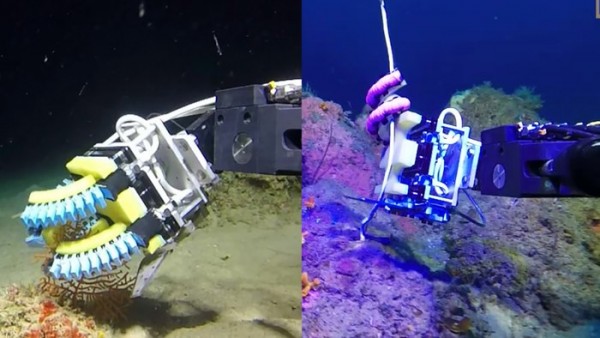 哈佛大学研发软体机械爪用于海底勘探