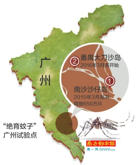 中国释放25亿只绝育蚊：对抗登革热