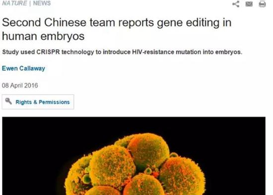 中国科学家再次编辑人类胚胎基因：全球第二例