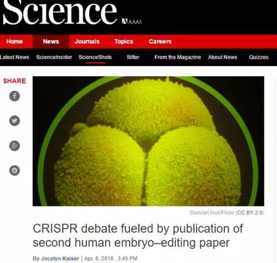 中国科学家再次编辑人类胚胎基因：全球第二例