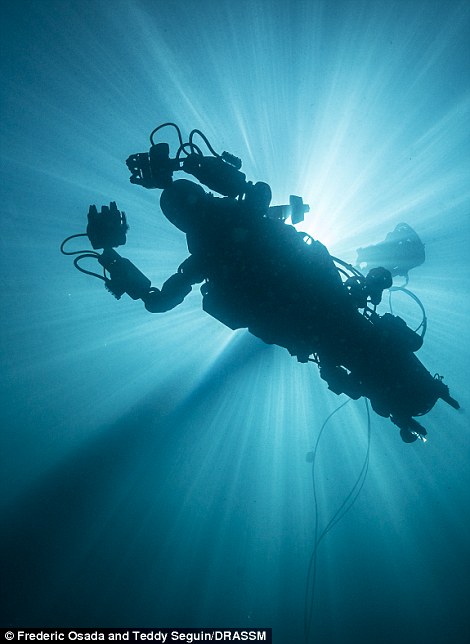 美大学研发“机器美人鱼” 帮助探寻沉船宝藏
