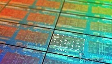 AMD全新CPU真身首曝