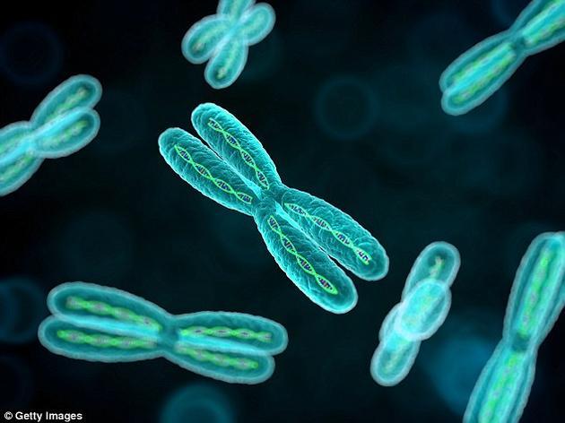 科学家欲在十年内人工合成人类基因组：重建全部人体细胞