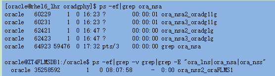 【DG】物理DG中LNSn、NSS、NSA进程