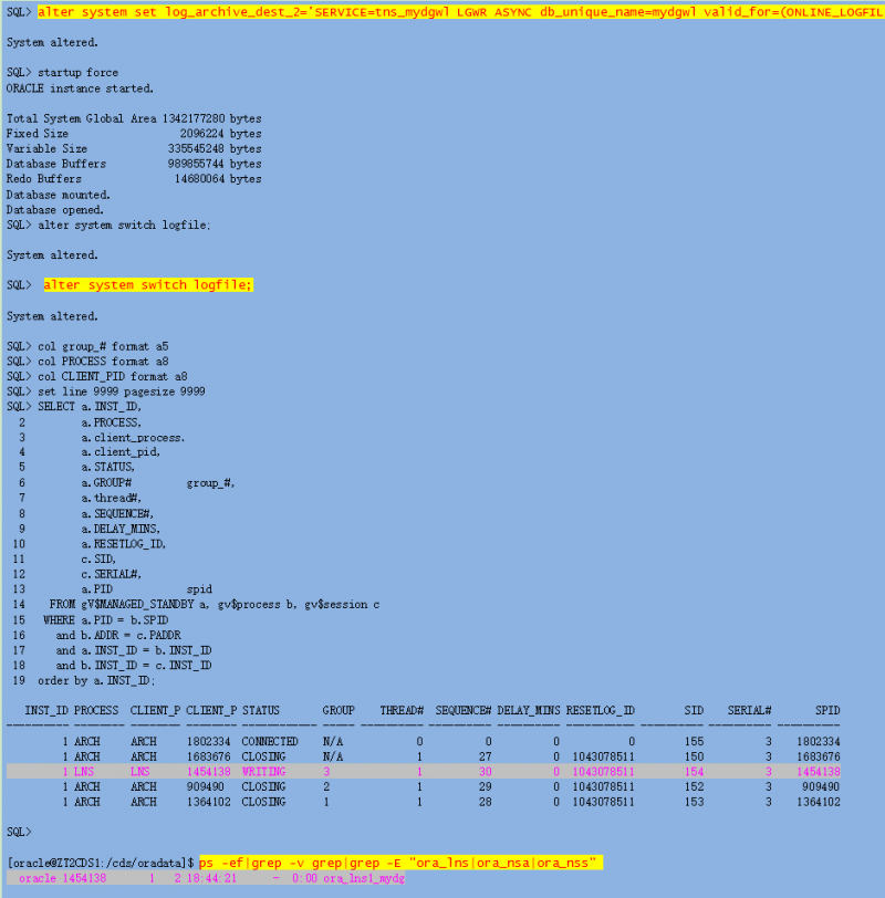 【DG】物理DG中LNSn、NSS、NSA进程