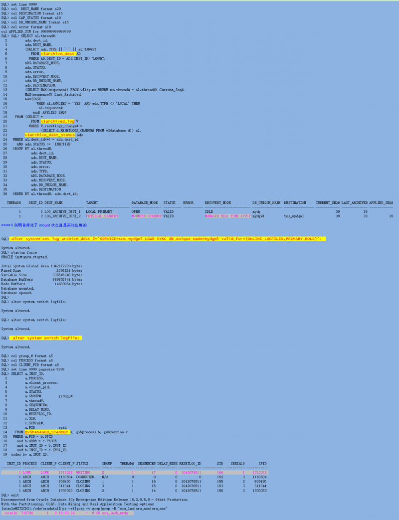 【DG】物理DG中LNSn、NSS、NSA进程