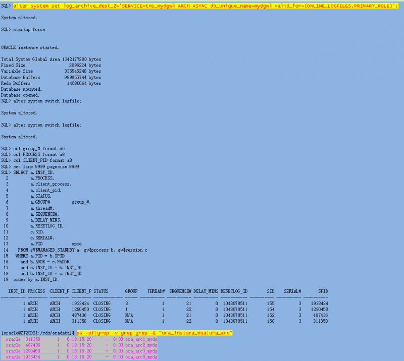 【DG】物理DG中LNSn、NSS、NSA进程