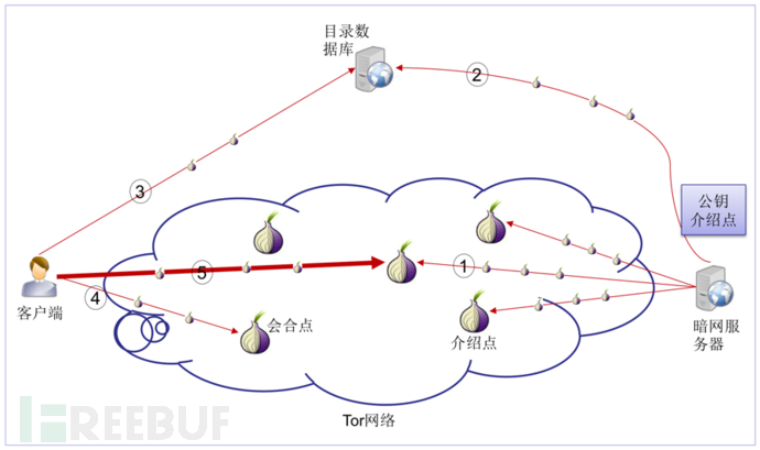 揭秘暗网中的Tor网络连接