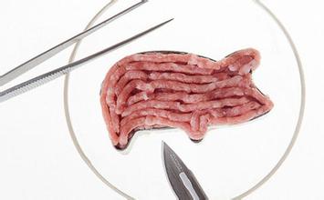你愿意食用实验室培养的肉类吗？2020年前或能改善口感
