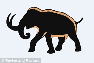 科学家计划“复活”猛犸象：减慢温室效应