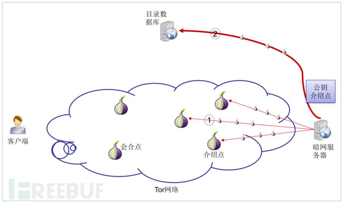 揭秘暗网中的Tor网络连接