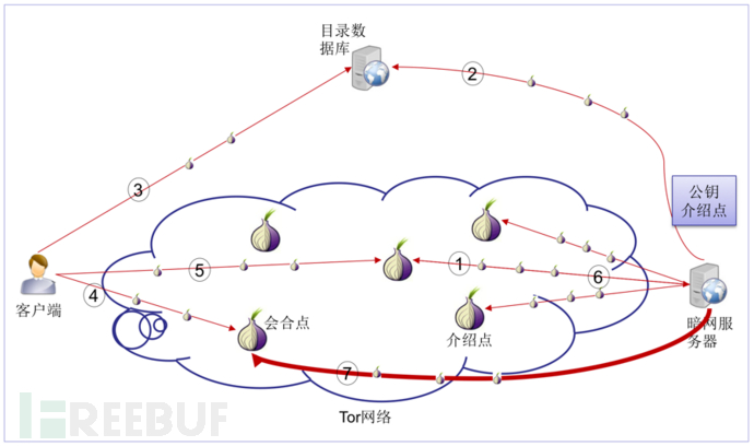 揭秘暗网中的Tor网络连接