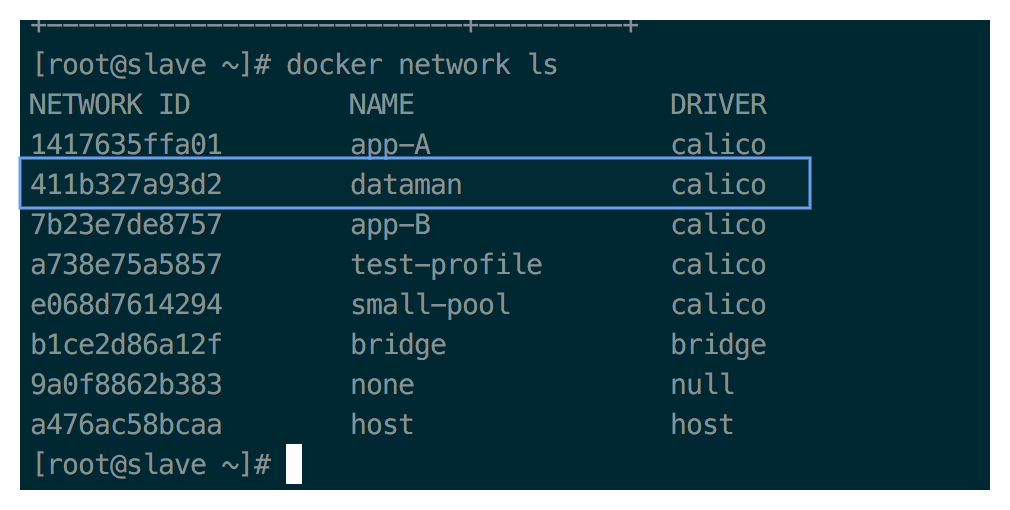 微信群分享实录 | Docker 网络方案初探