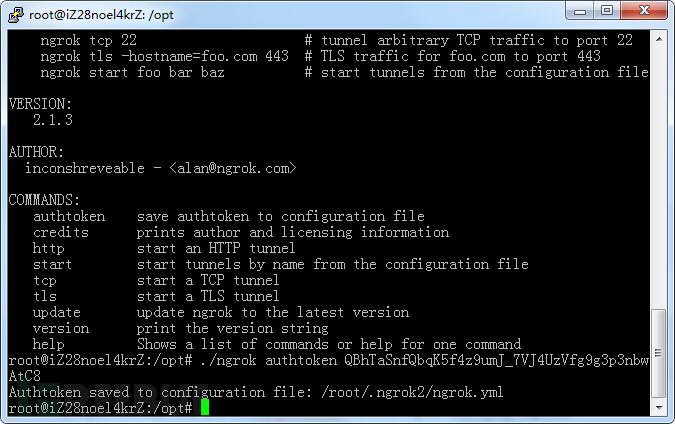 ngrok一款内网穿透+记录HTTP请求的神器(支持HTTPS)