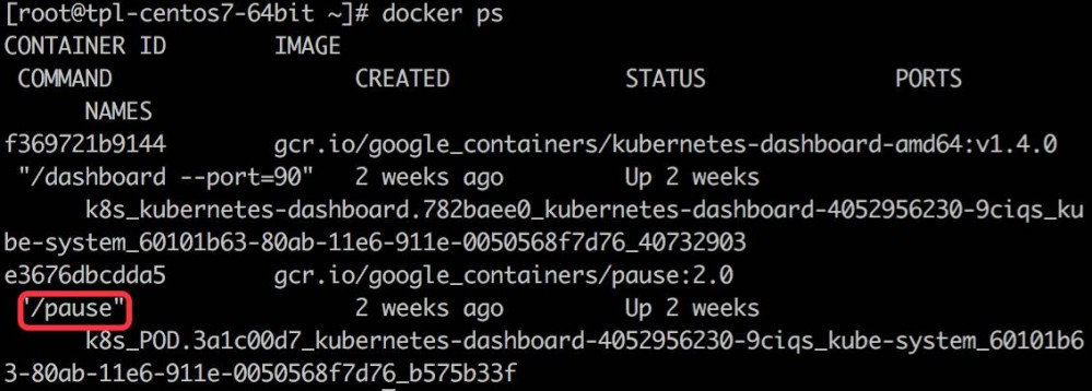 Kubernetes 初探：网络技术原理