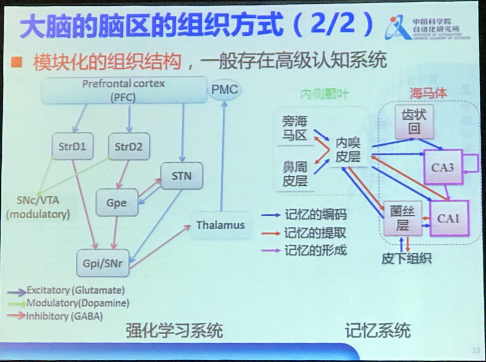 中科院徐波：中国脑计划的现状和发展方向