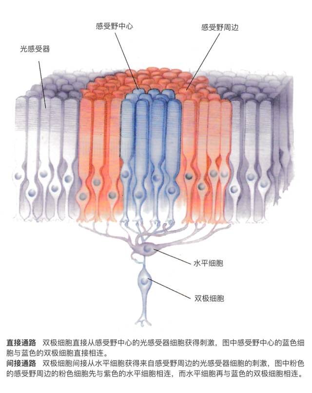 人工智能核心概念辨析