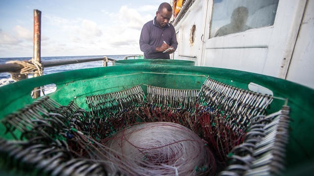 探索真正的蓝海：如何利用人工智能改善海洋捕捞业