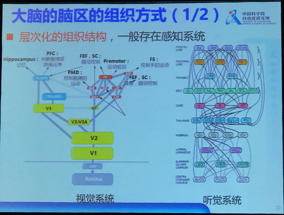 中科院徐波：中国脑计划的现状和发展方向