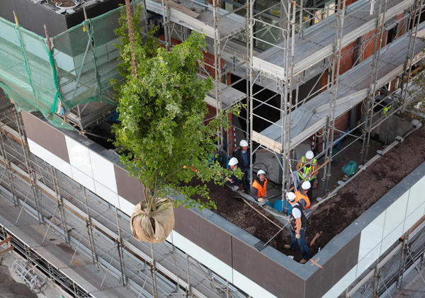 一个长树的建筑将会在南京建成，这将是亚洲第一个“垂直森林”