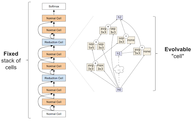 使用进化 AutoML 发现神经网络架构