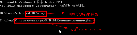 Sonar实战篇