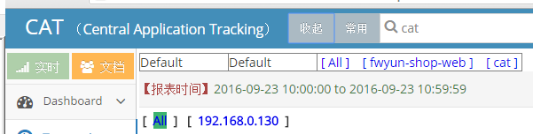 Cat统一监控平台简单使用