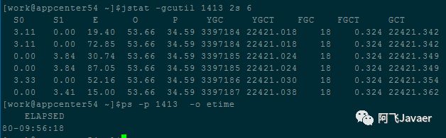 你的 JVM 还好吗？GC 初步诊断