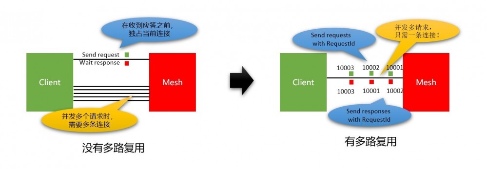 SOFAMesh中的多协议通用解决方案x-protocol介绍系列（2）——快速解码转发