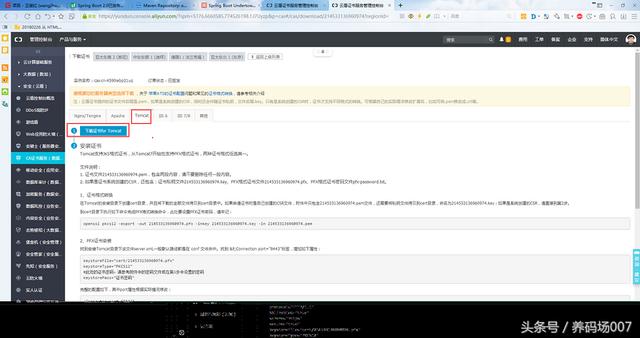 Spring Boot-实现Undertow服务器同时支持HTTP2、HTTPS