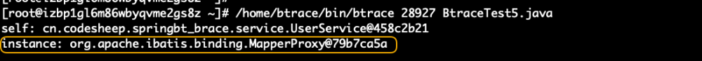 利用神器BTrace 追踪线上 Spring Boot应用运行时信息