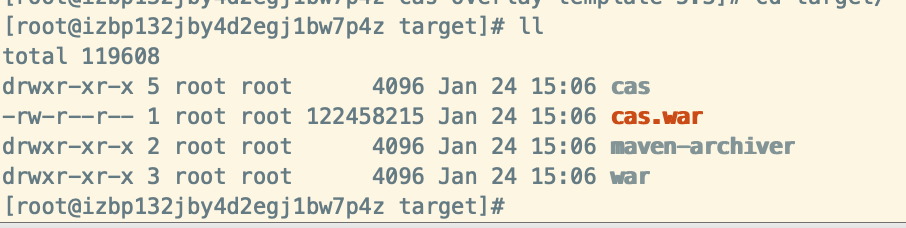 CAS单点登录(SSO)实战(一)