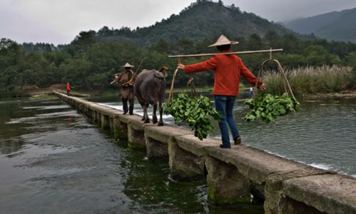 研发职位到底应该怎么设置？