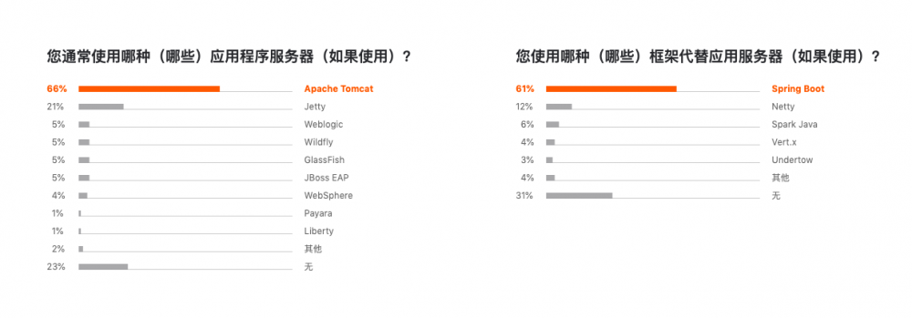 Jetbrains 发布 2019 开发者生态报告：Java 最主流，Go 最有前途