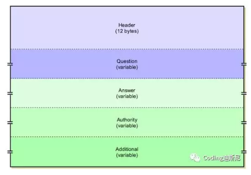 Java构建TCP/IP协议：DNS，域名解析协议系统的运行流程