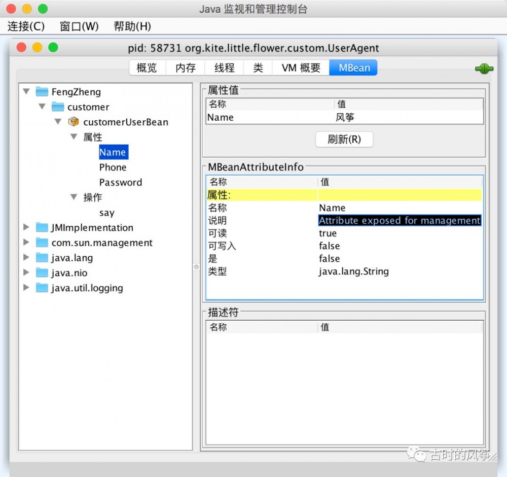 JConsole、VisualVM 依赖的 JMX 技术